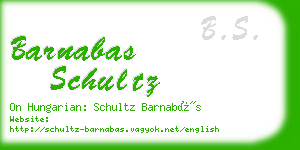 barnabas schultz business card